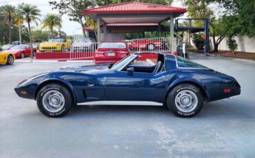 Chevrolet-Corvette-1979-blue-4