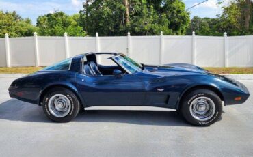 Chevrolet-Corvette-1979-blue-8