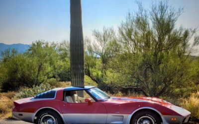 Chevrolet Corvette  1979 custom