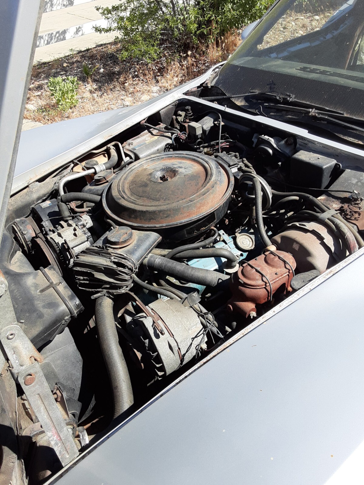 Chevrolet-Corvette-1980-Coupe-6