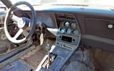 Chevrolet-Corvette-1980-Coupe-7