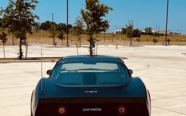 Chevrolet-Corvette-1980-black-11