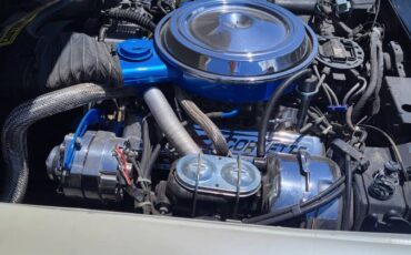 Chevrolet-Corvette-1981-10