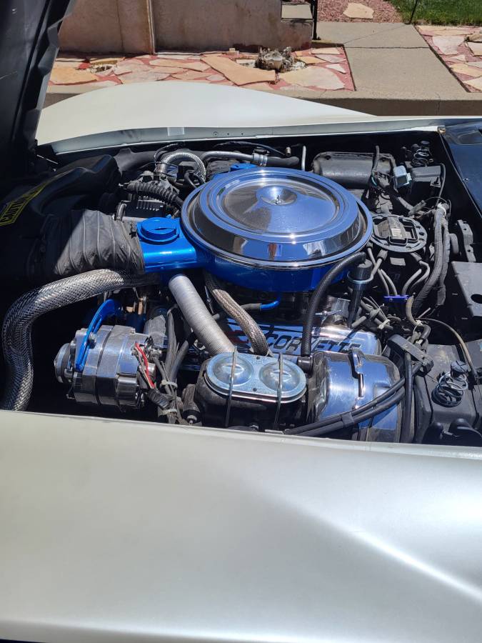 Chevrolet-Corvette-1981-10