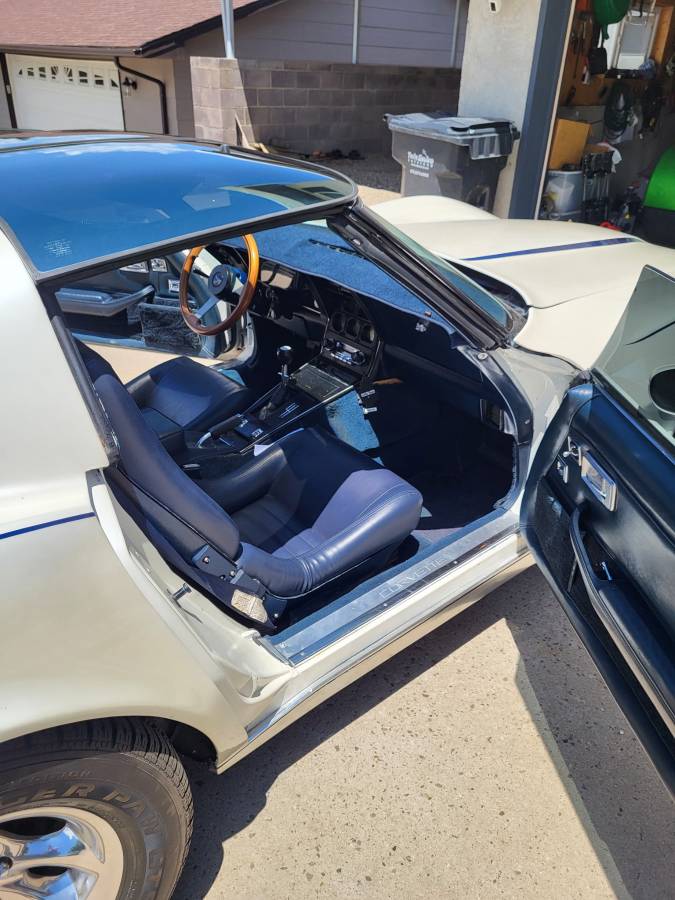 Chevrolet-Corvette-1981-5