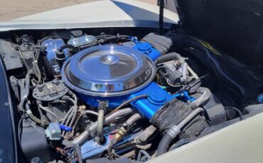 Chevrolet-Corvette-1981-9