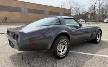 Chevrolet-Corvette-1981-Coupe-22