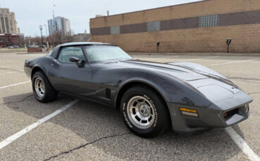 Chevrolet-Corvette-1981-Coupe-28