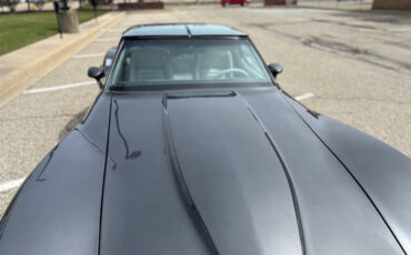 Chevrolet-Corvette-1981-Coupe-34