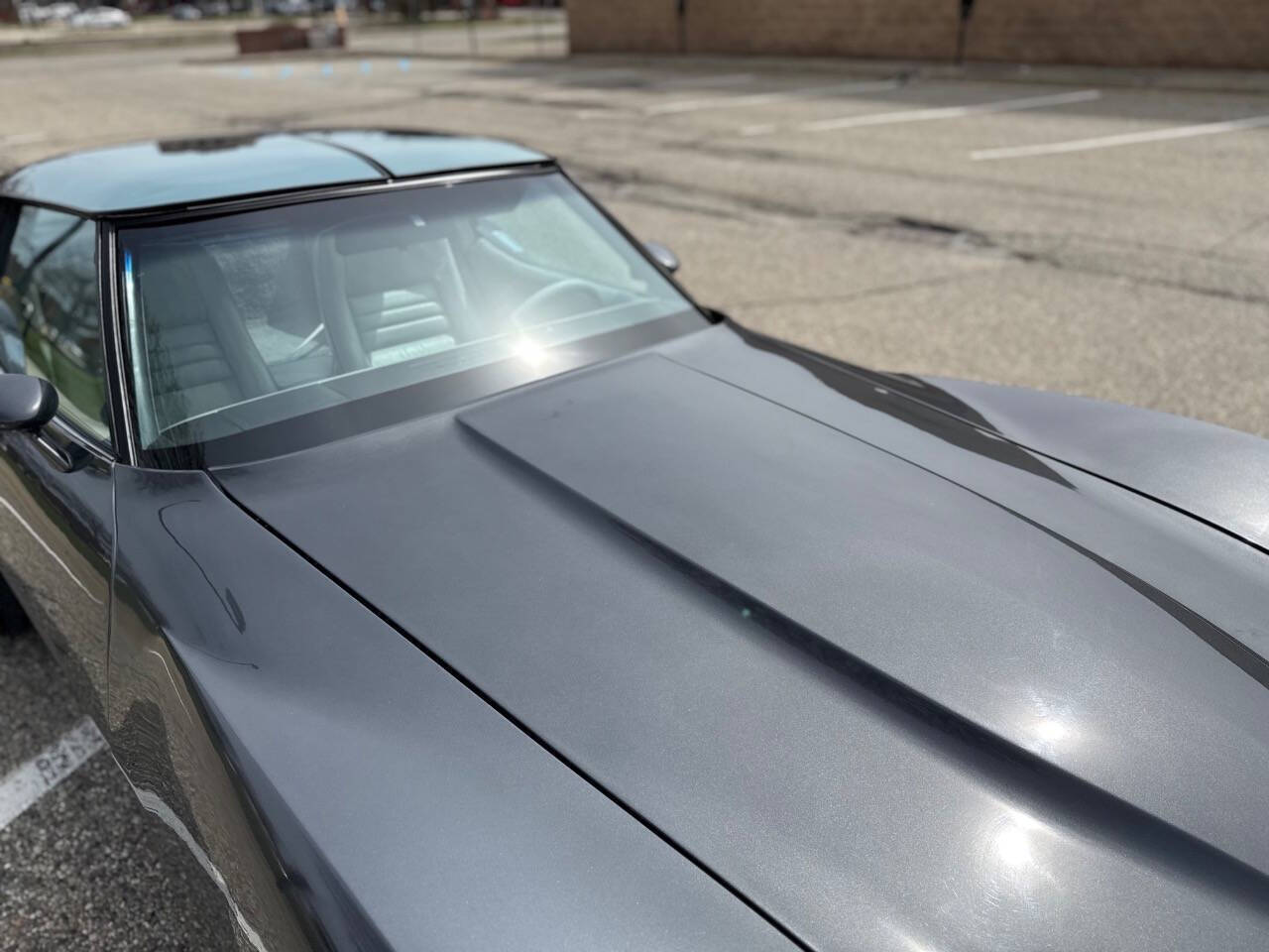 Chevrolet-Corvette-1981-Coupe-35