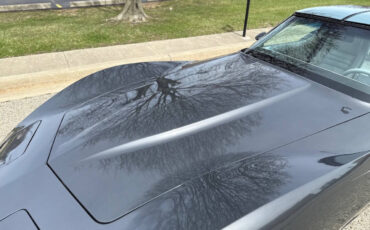 Chevrolet-Corvette-1981-Coupe-38