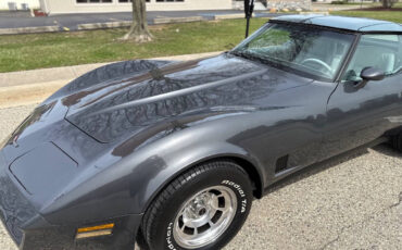 Chevrolet-Corvette-1981-Coupe-39