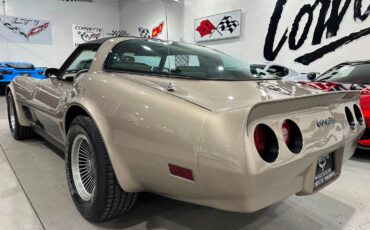 Chevrolet-Corvette-1982-Hatchback-2