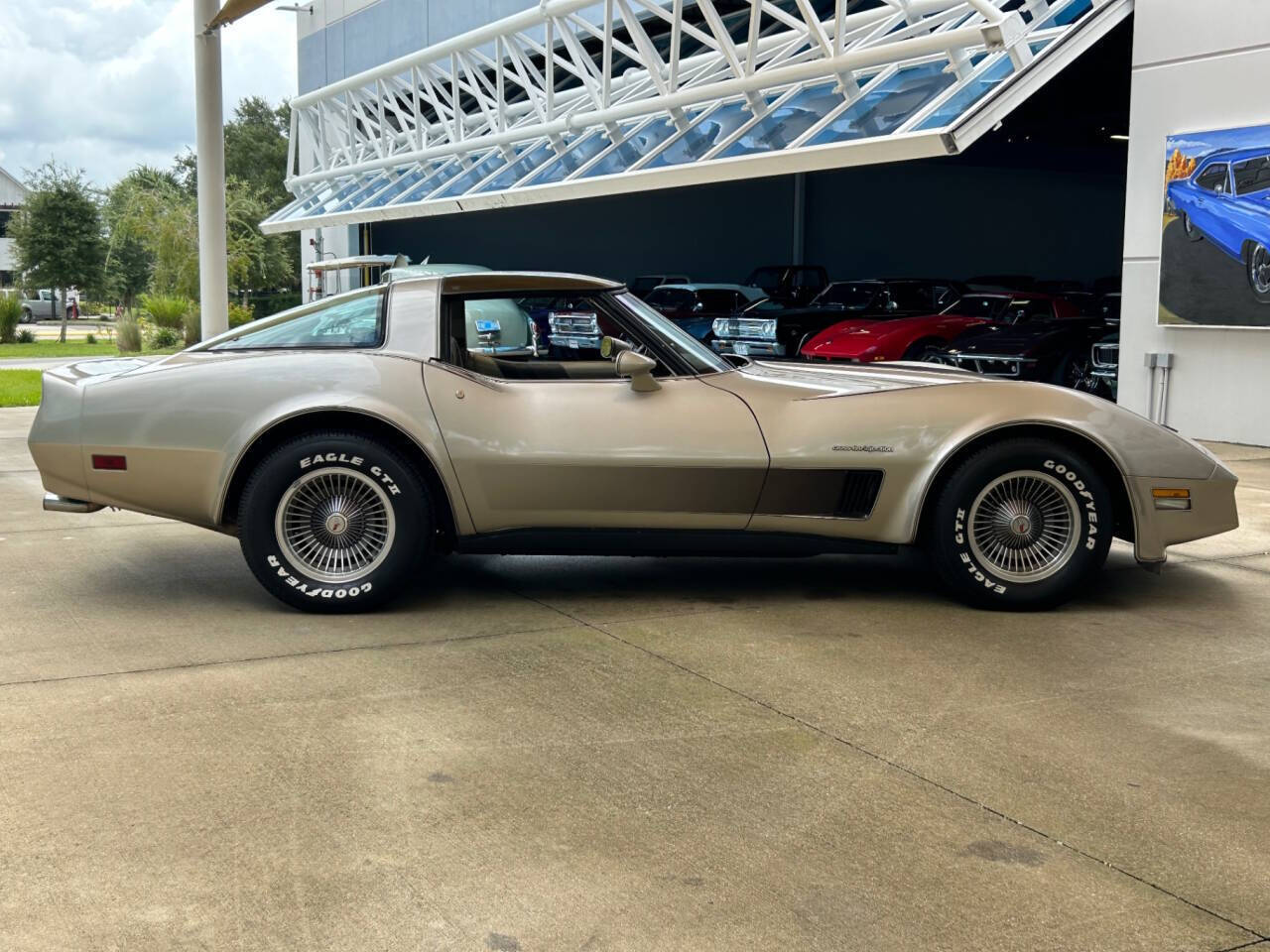 Chevrolet-Corvette-1982-Hatchback-3