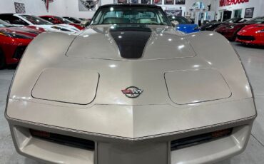 Chevrolet-Corvette-1982-Hatchback-6