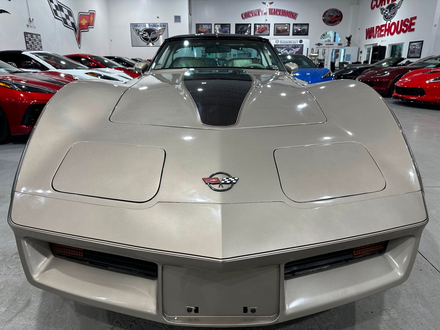 Chevrolet-Corvette-1982-Hatchback-6