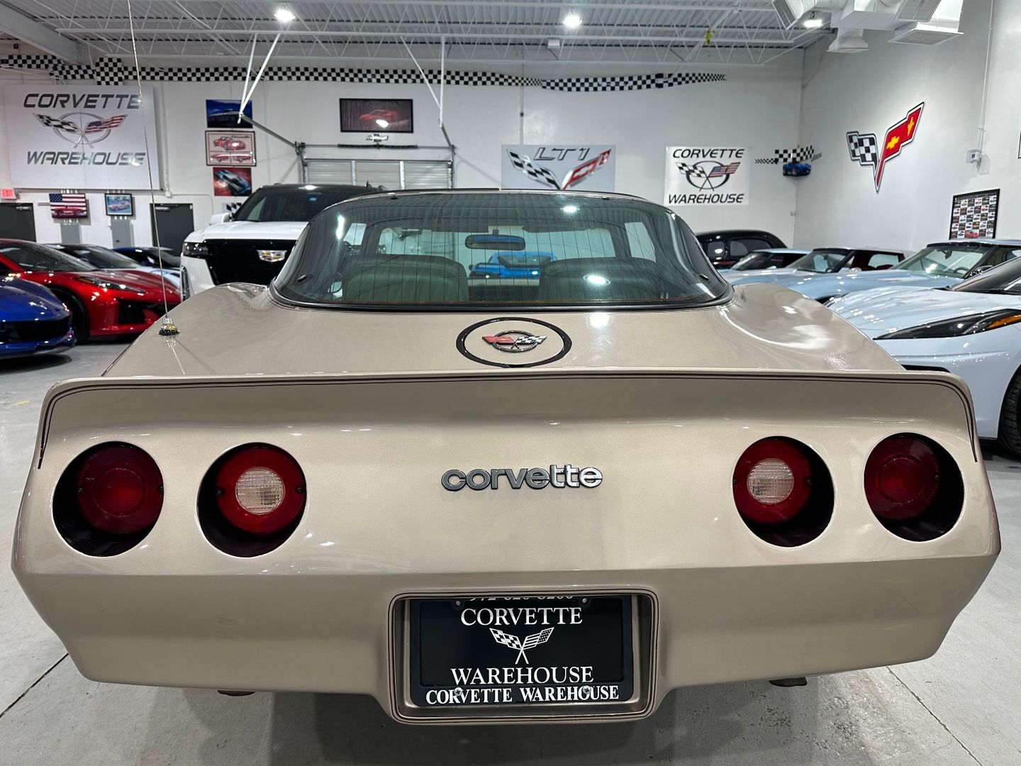 Chevrolet-Corvette-1982-Hatchback-7