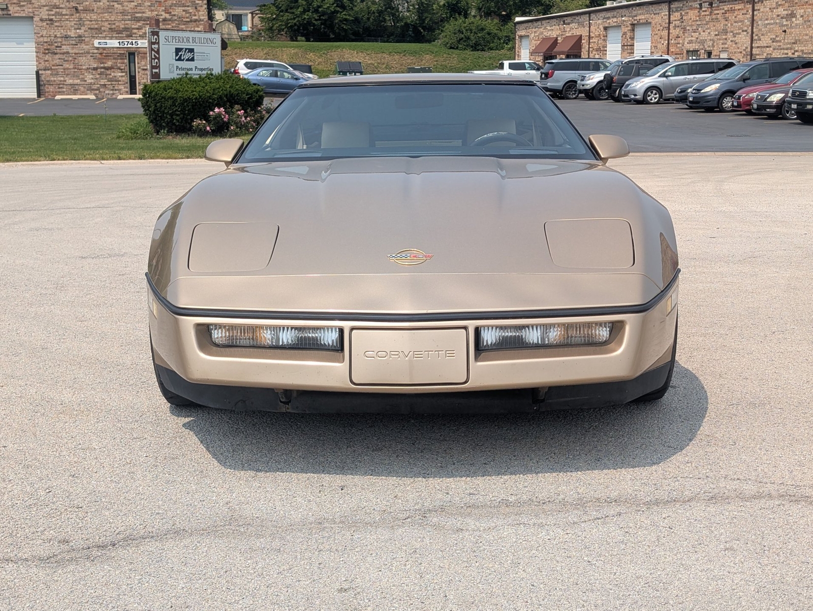 Chevrolet-Corvette-1984-Coupe-10