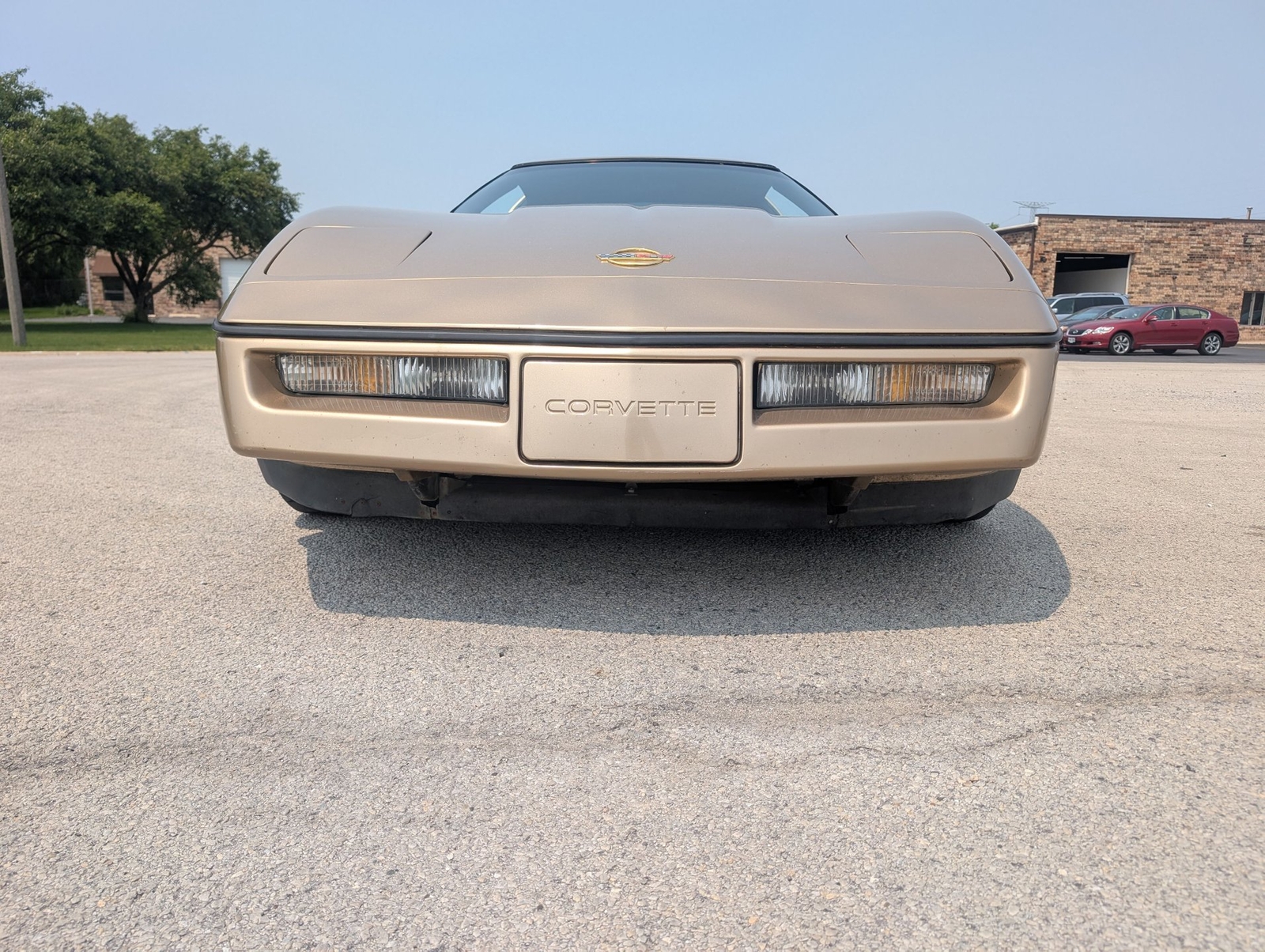 Chevrolet-Corvette-1984-Coupe-19