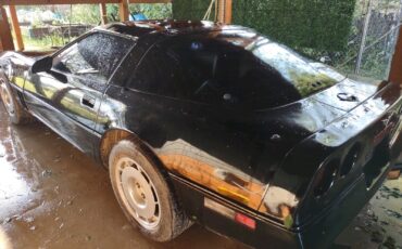 Chevrolet-Corvette-1984-Hatchback-10