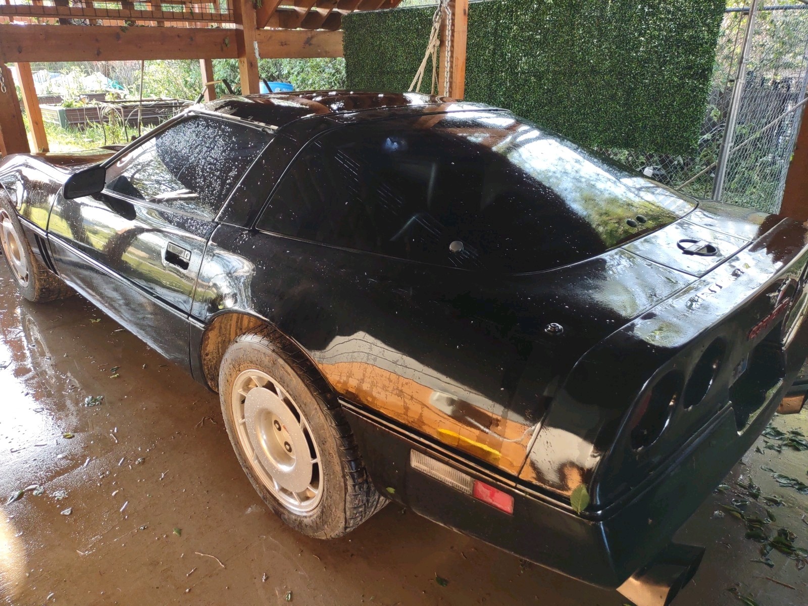 Chevrolet-Corvette-1984-Hatchback-10