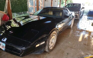 Chevrolet-Corvette-1984-Hatchback-11