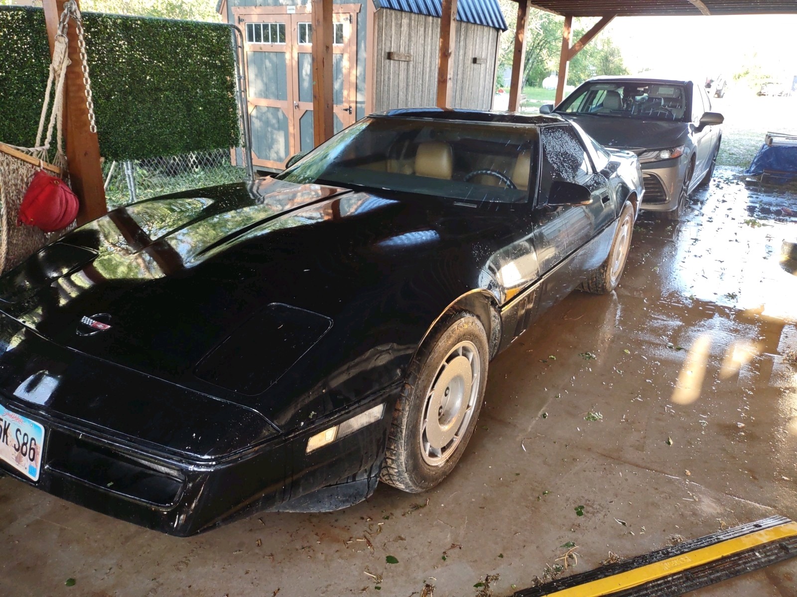 Chevrolet-Corvette-1984-Hatchback-11