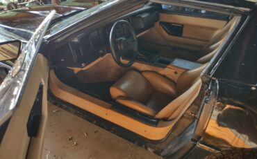Chevrolet-Corvette-1984-Hatchback-2