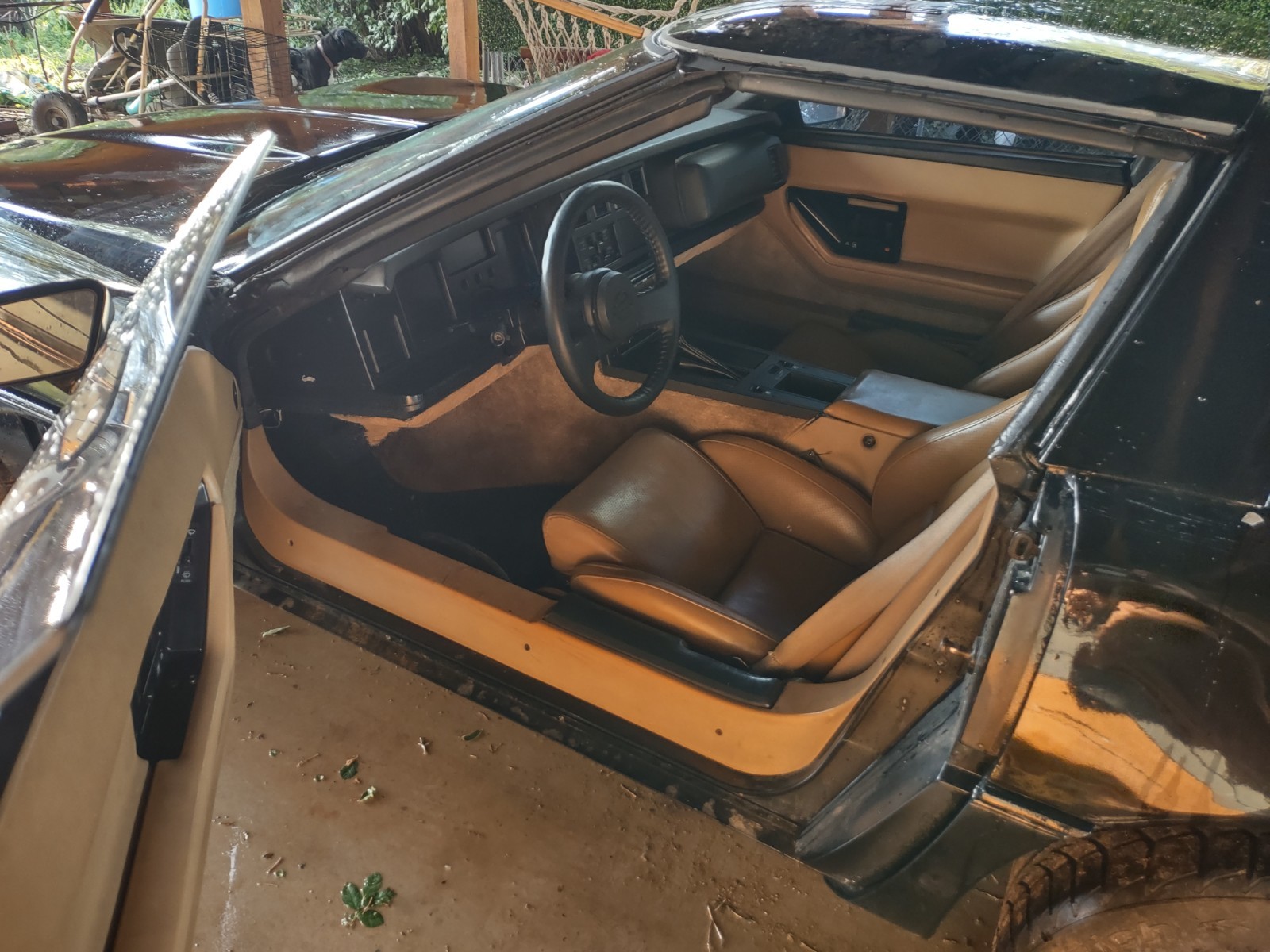 Chevrolet-Corvette-1984-Hatchback-2