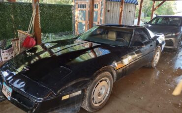 Chevrolet-Corvette-1984-Hatchback