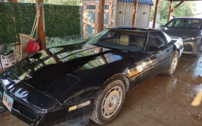 Chevrolet Corvette 1984 Hatchback