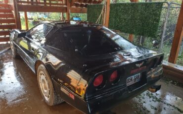 Chevrolet-Corvette-1984-Hatchback-5
