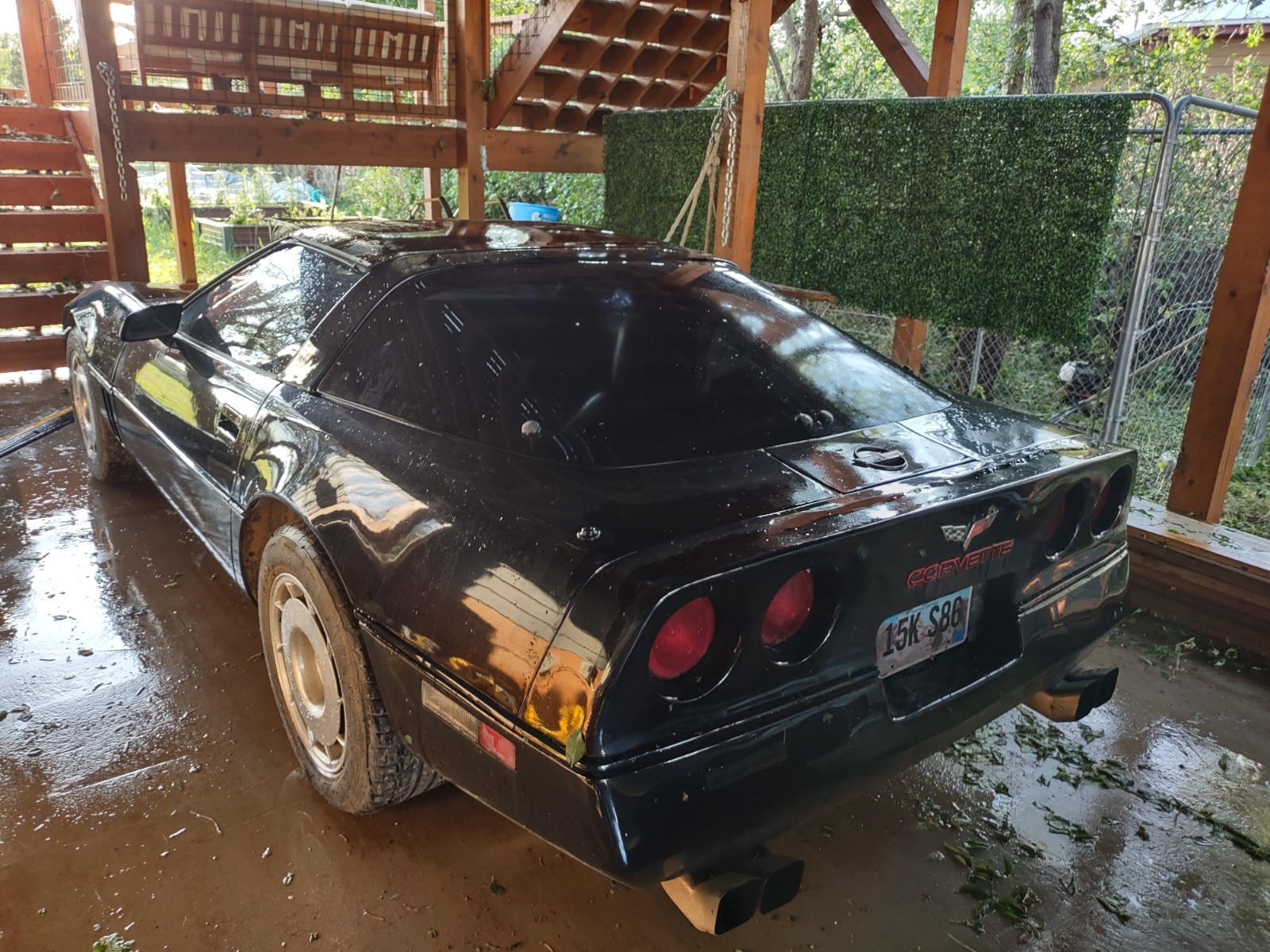 Chevrolet-Corvette-1984-Hatchback-5