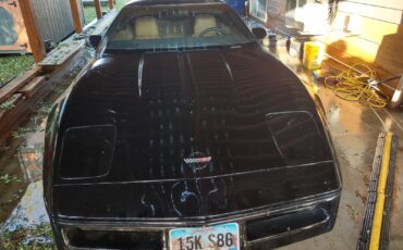 Chevrolet-Corvette-1984-Hatchback-6