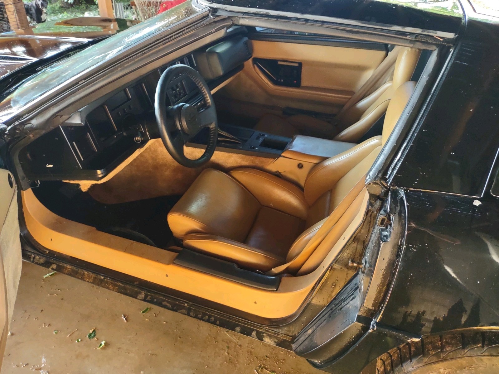 Chevrolet-Corvette-1984-Hatchback-8