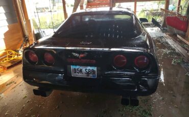 Chevrolet-Corvette-1984-Hatchback-9