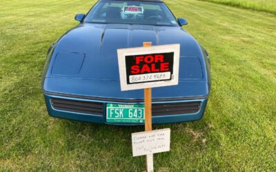 Chevrolet Corvette  1984 blue