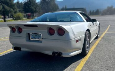 Chevrolet-Corvette-1984-white-2