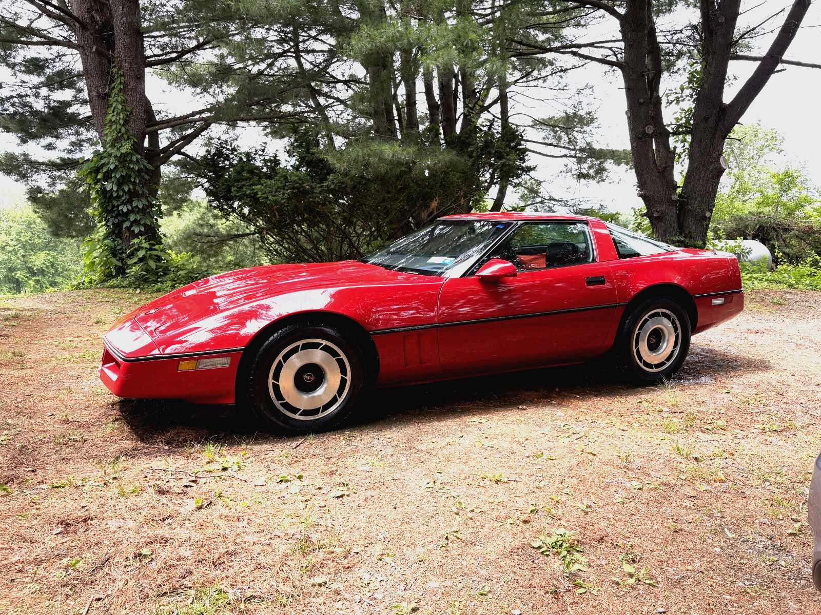 Chevrolet-Corvette-1985-Coupe-1