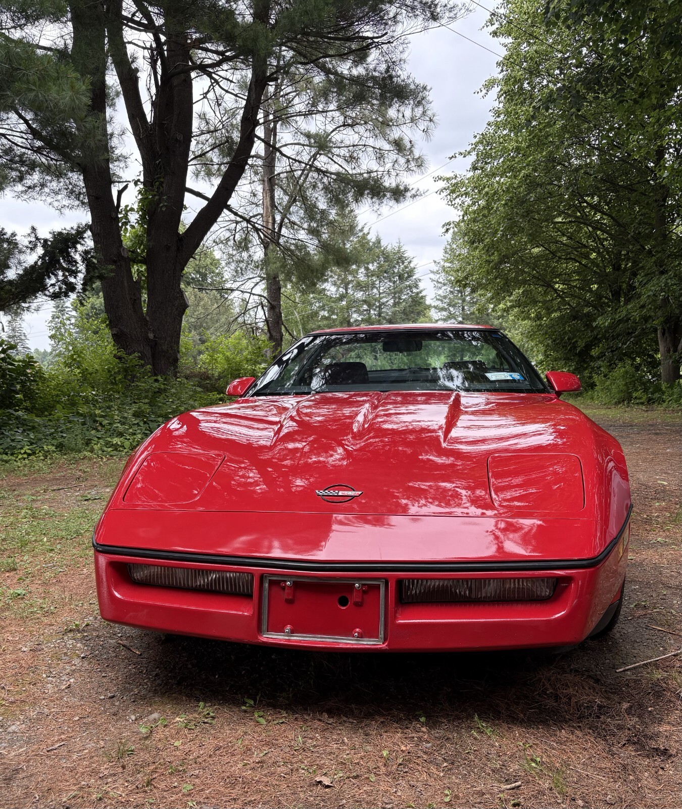 Chevrolet-Corvette-1985-Coupe-11