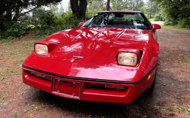 Chevrolet-Corvette-1985-Coupe-6