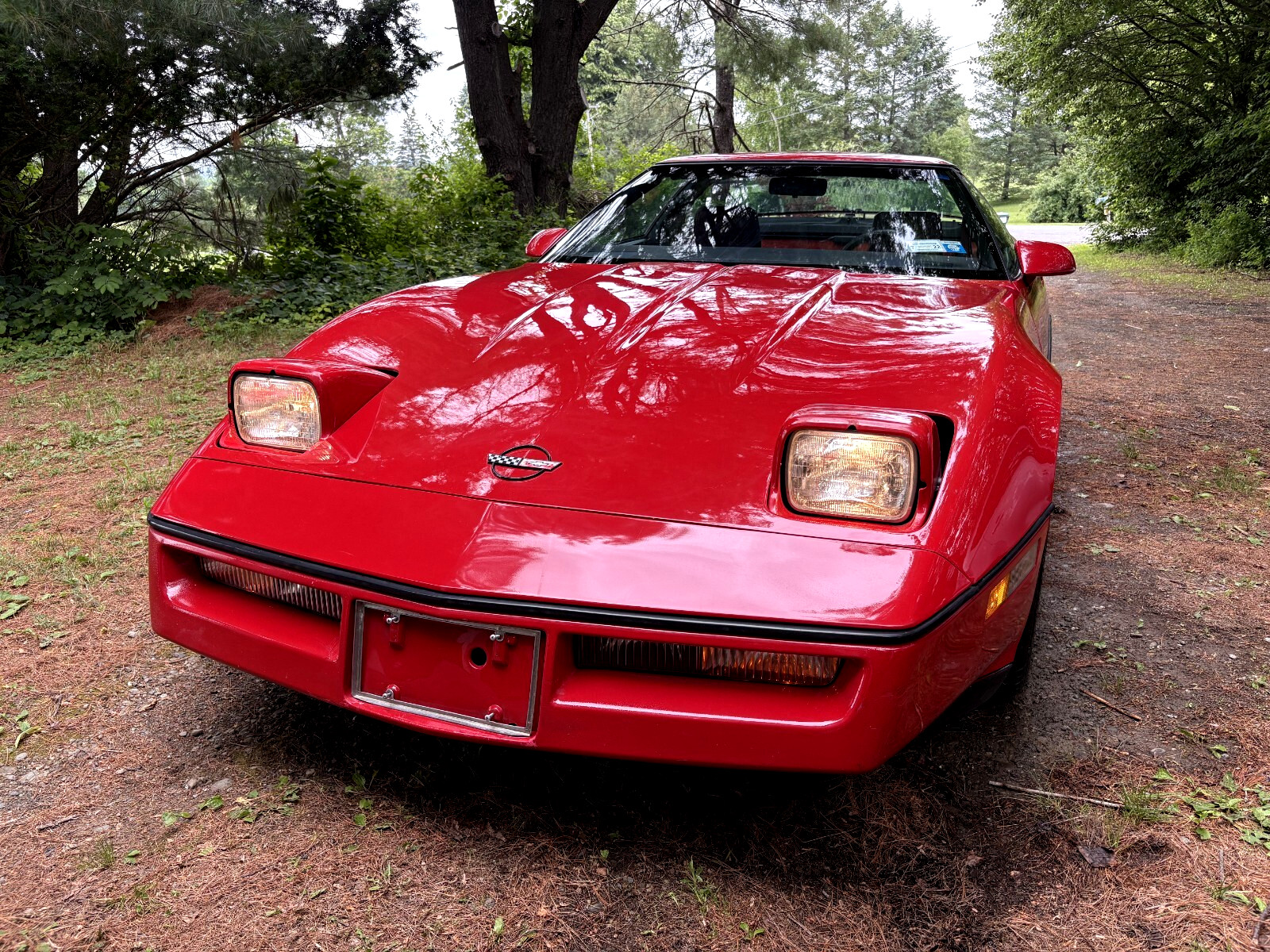Chevrolet-Corvette-1985-Coupe-6