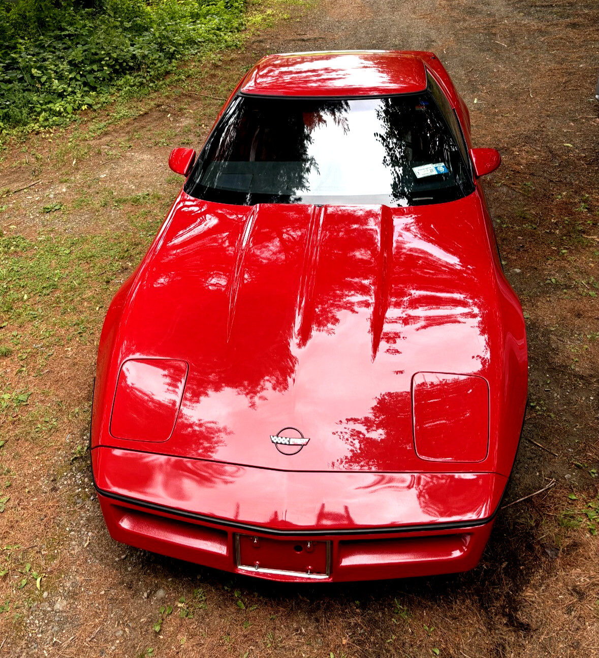 Chevrolet-Corvette-1985-Coupe-9