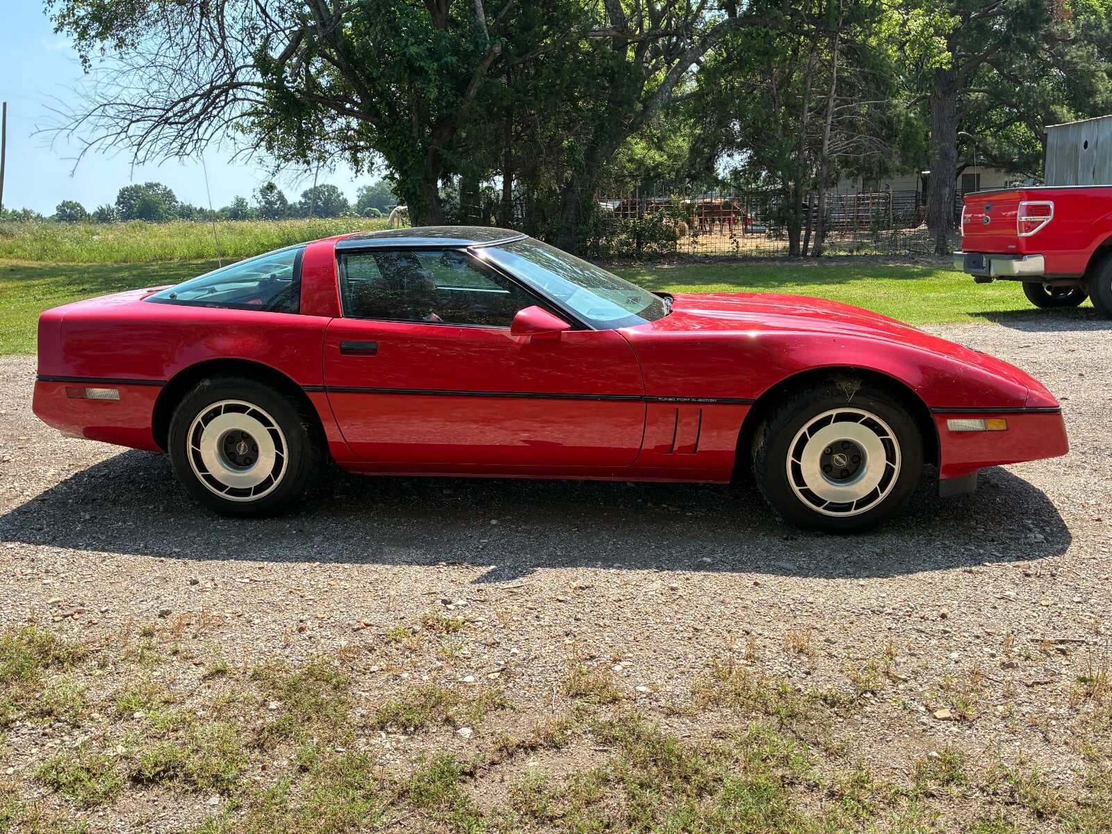 Chevrolet-Corvette-1985-Hatchback-1