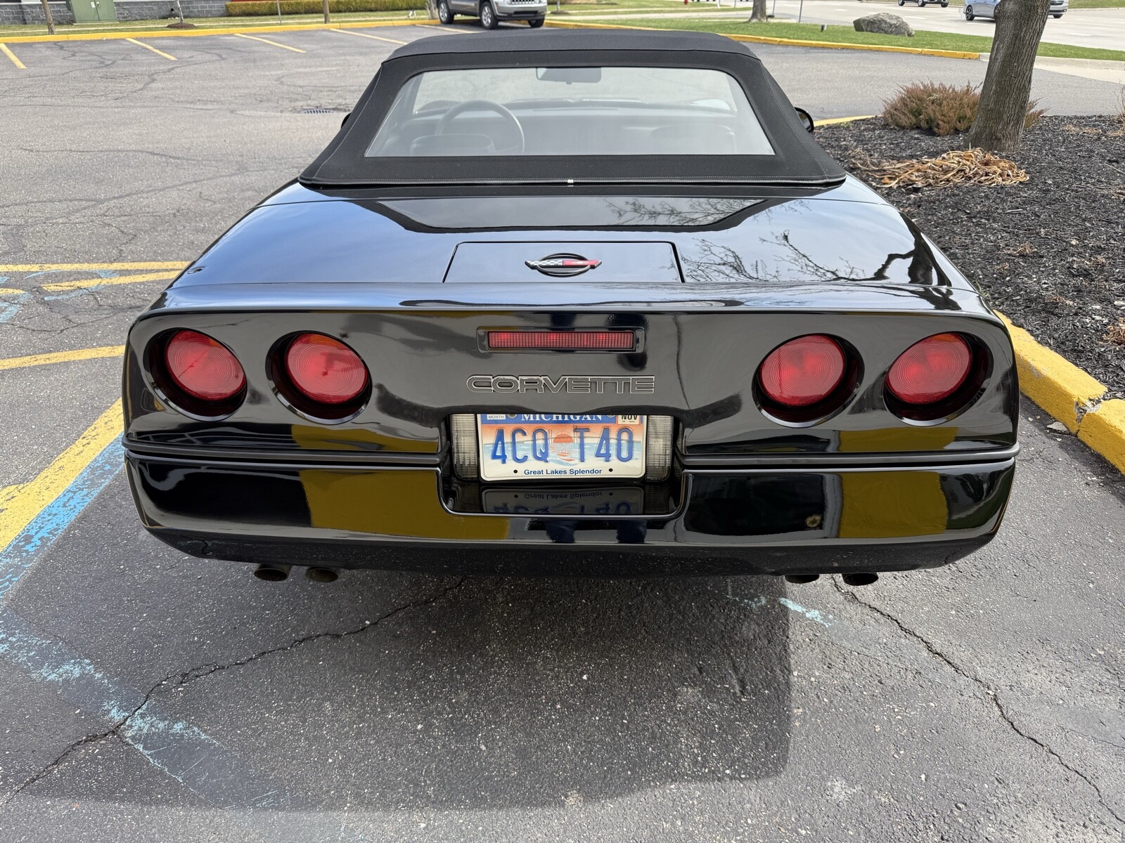 Chevrolet-Corvette-1988-15