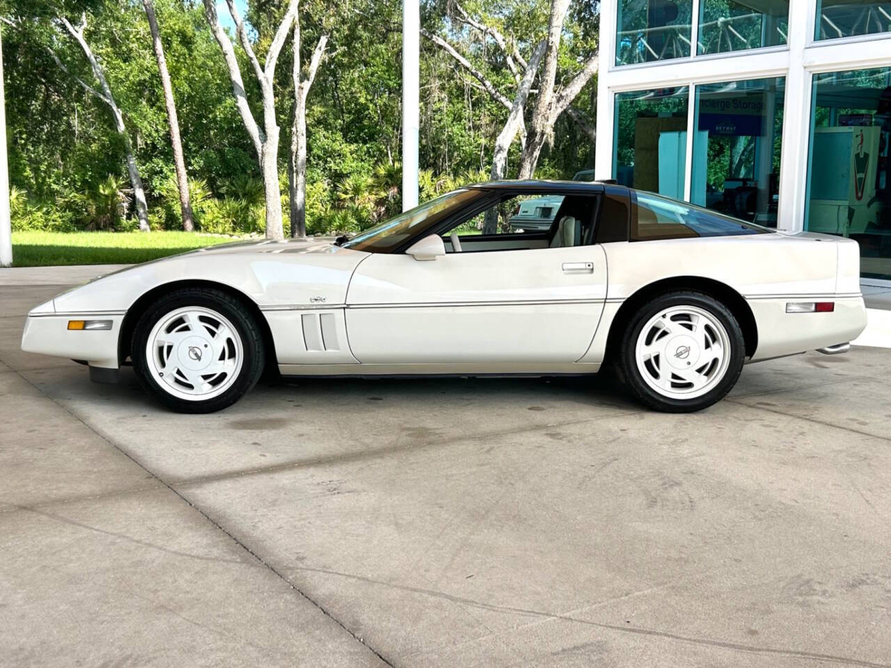 Chevrolet-Corvette-1988-Hatchback-9
