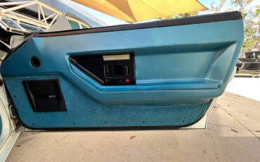 Chevrolet-Corvette-1989-Hatchback-27