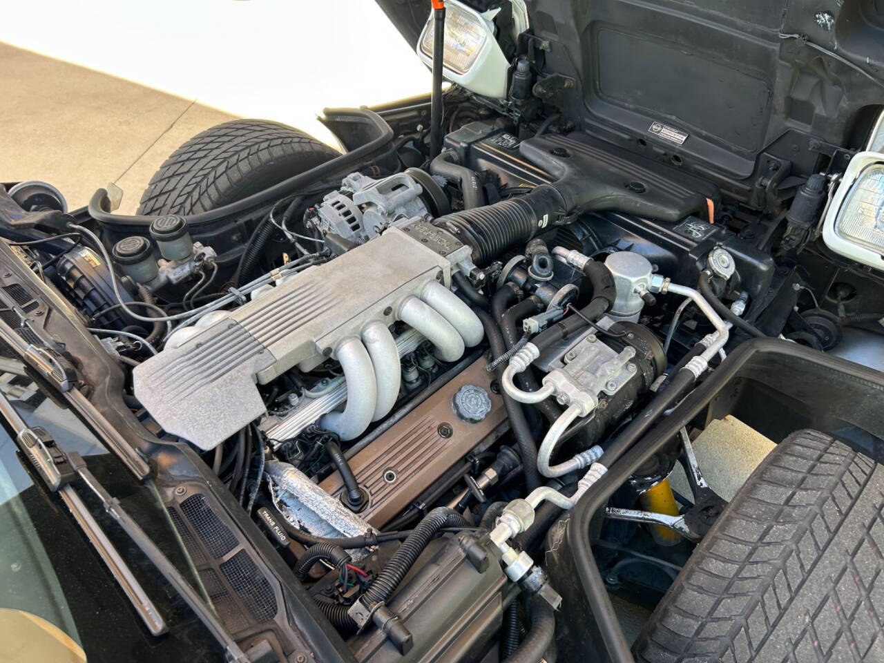 Chevrolet-Corvette-1989-Hatchback-36