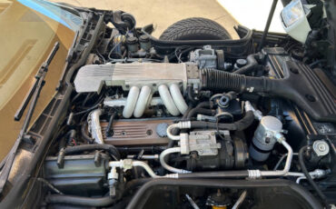 Chevrolet-Corvette-1989-Hatchback-37