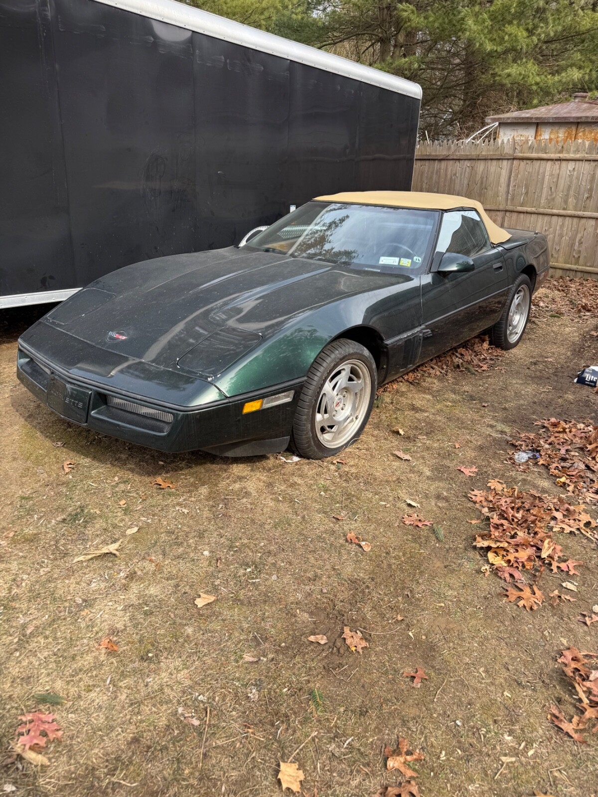 Chevrolet-Corvette-1990-Convertible-5